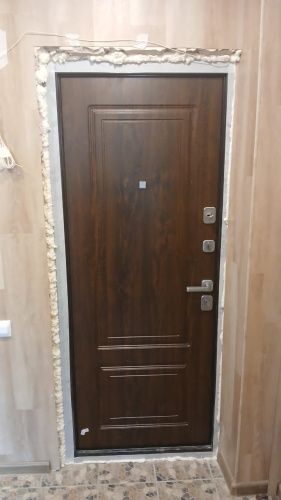 Толстяк Букле черный Грецкий орех фото 3